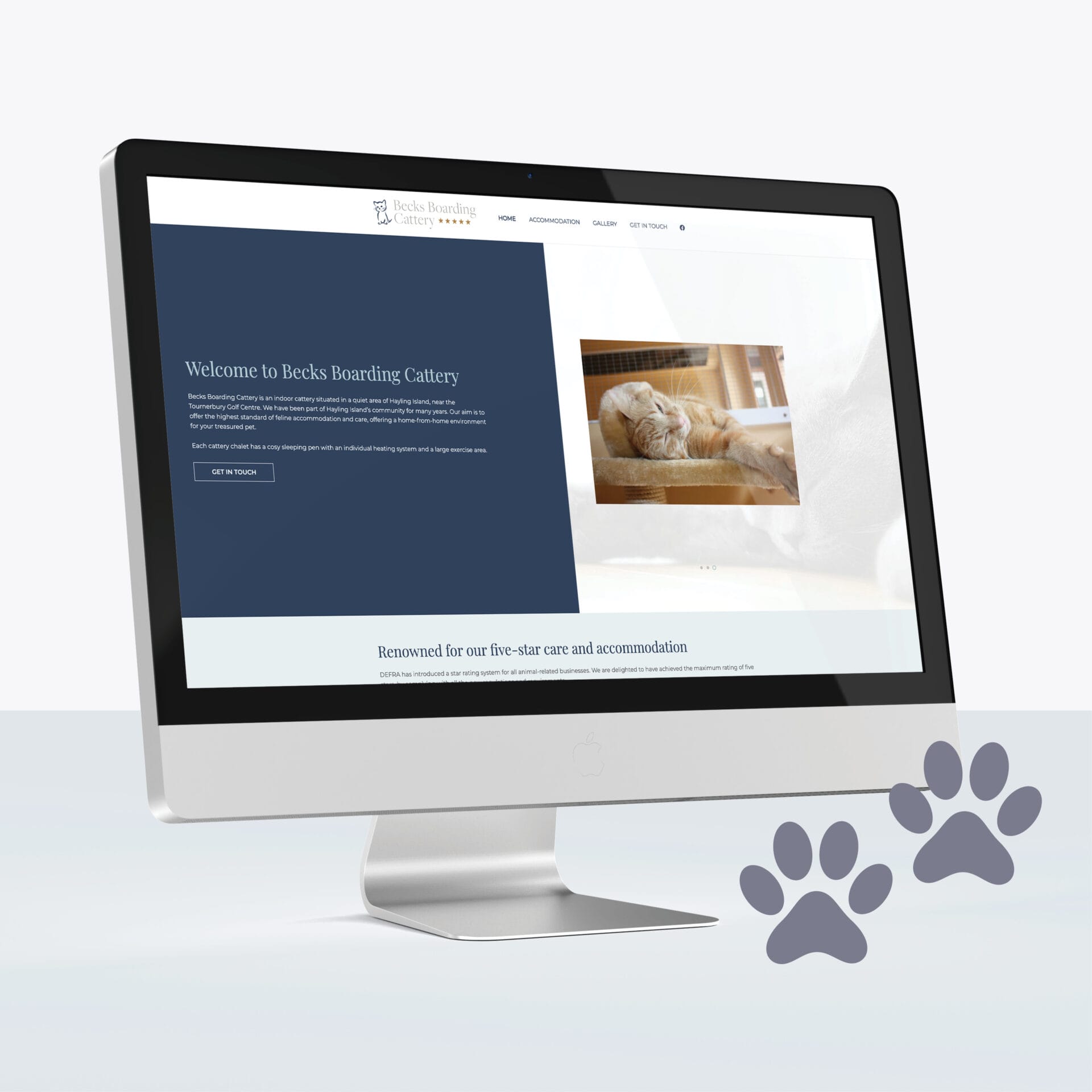 Website Design Hampshire