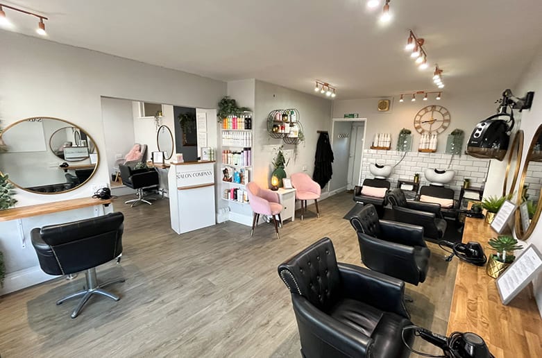 The Salon Company Background